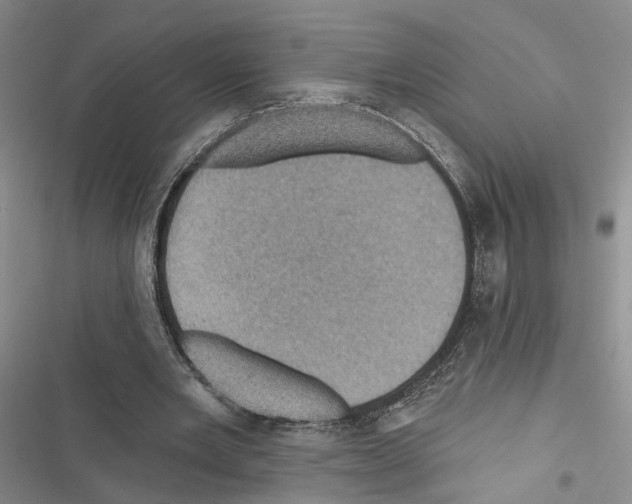 X0000116490485201001201406