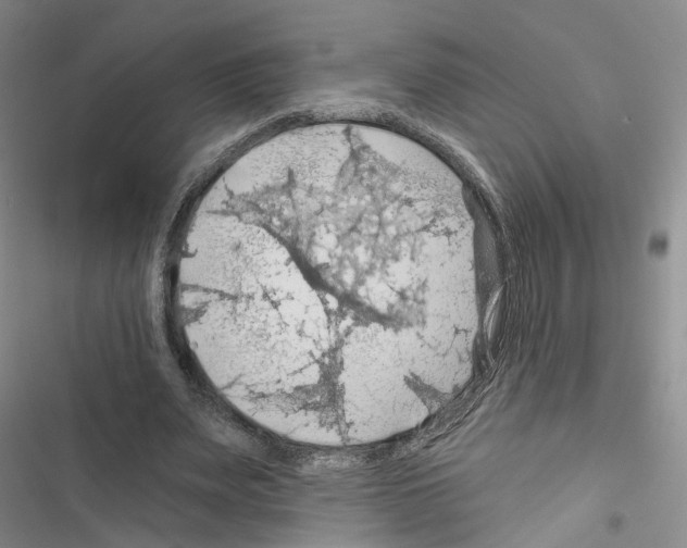 X0000116490487201001201406