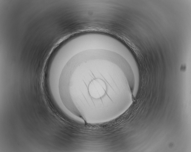 X0000116490488201001201406