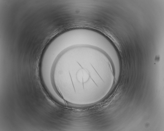 X0000116490489201001201406