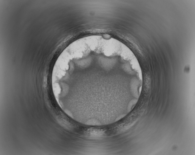 X0000116490491201001201406