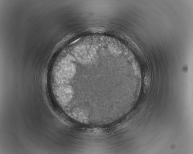 X0000116490492201001201406