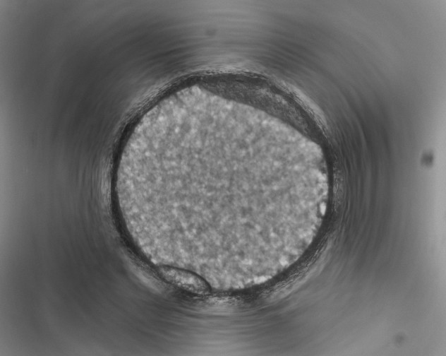 X0000116490493201001201406