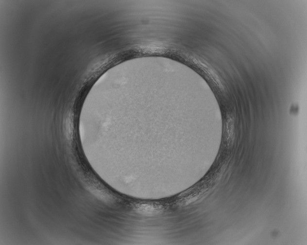 X0000116490494201001201406