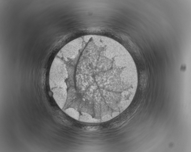 X0000116490495201001201406