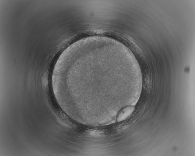 X0000116490500201001201406