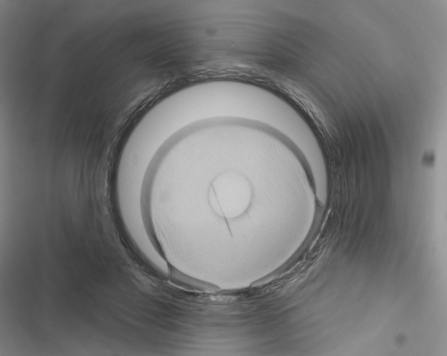 X0000116490501201001201406