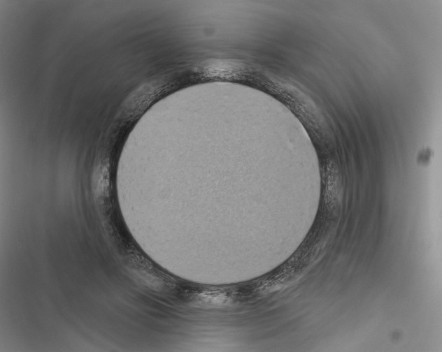 X0000116490502201001201406