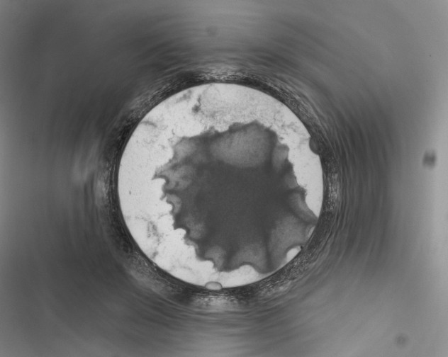 X0000116490503201001201406