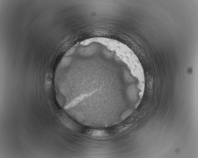 X0000116490507201001201406