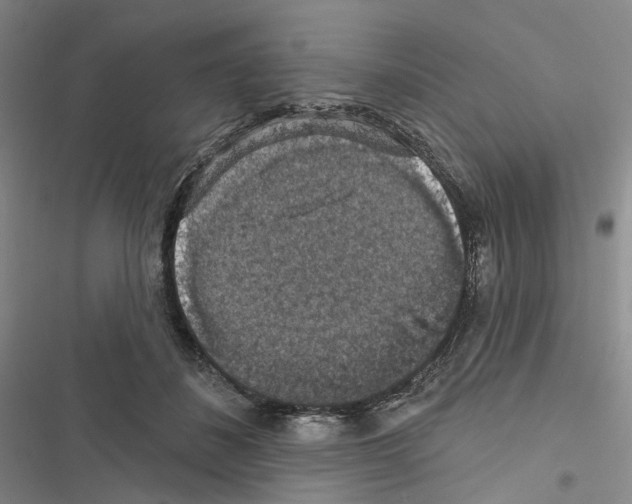 X0000116490508201001201406