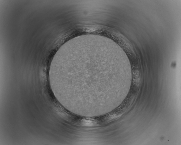 X0000116490510201001201406