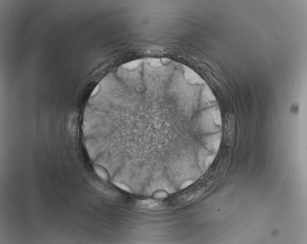 X0000116490511201001201406