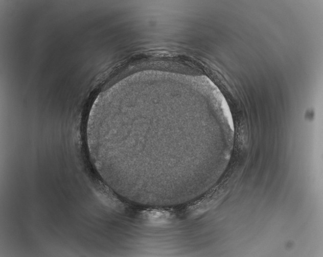 X0000116490512201001201406