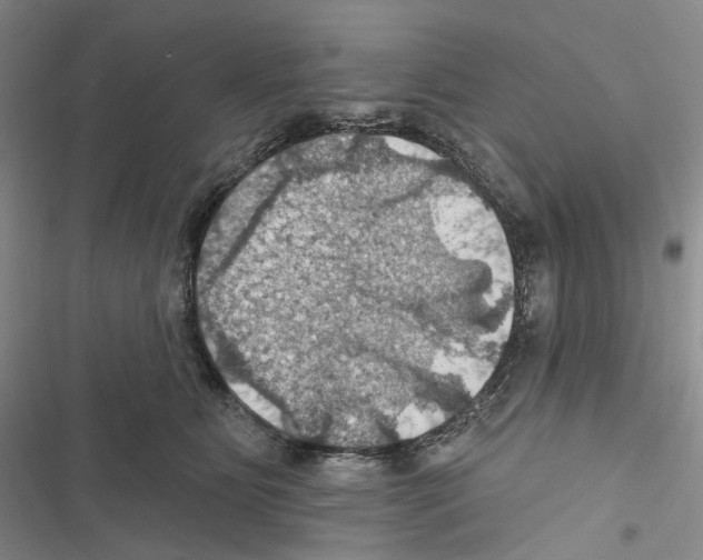 X0000116490515201001201406