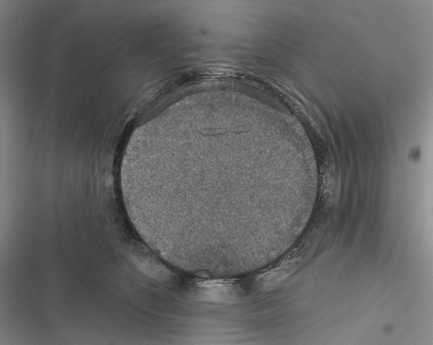 X0000116490516201001201406