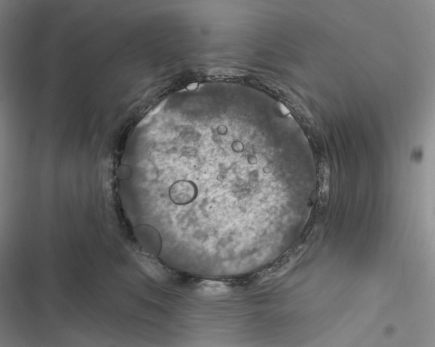 X0000116490519201001201406