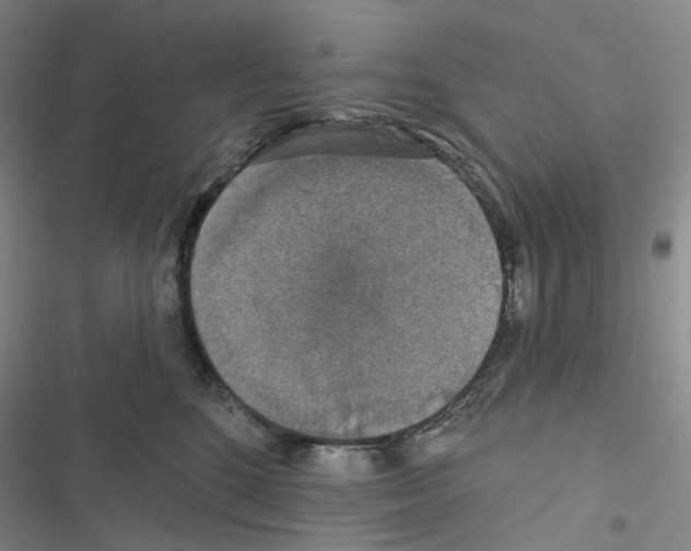 X0000116490520201001201406