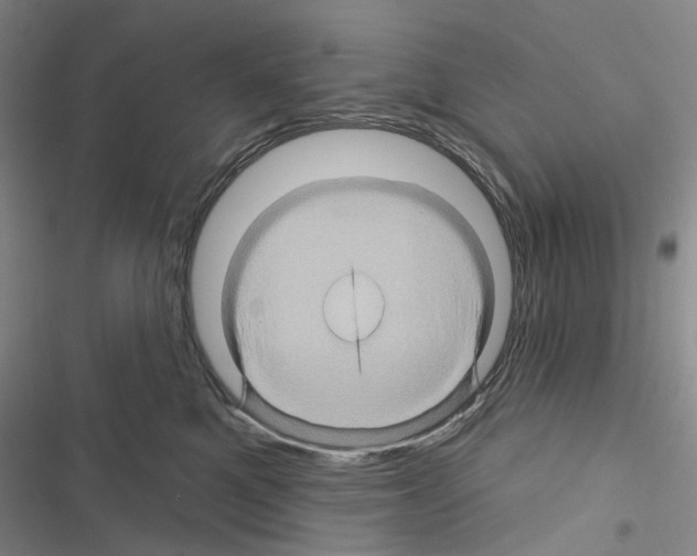 X0000116490521201001201406