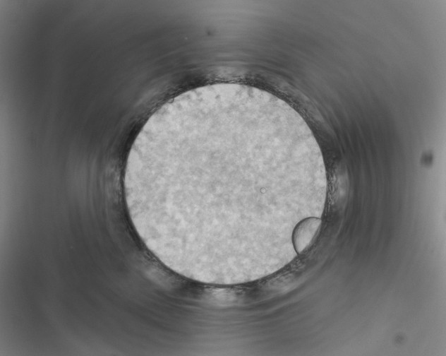 X0000116490522201001201406