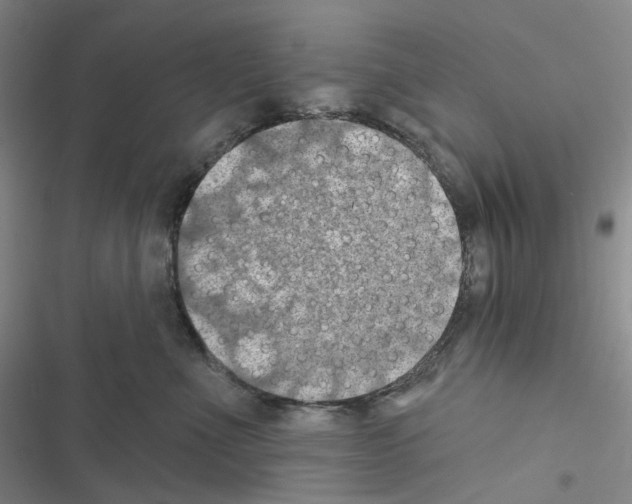 X0000116490523201001201406