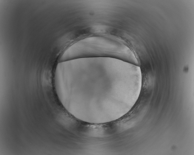 X0000116490524201001201406