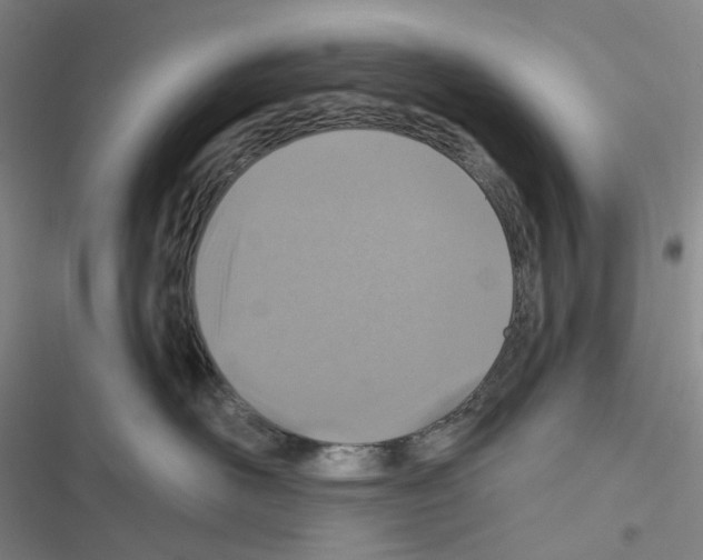 X0000116490526201001201406