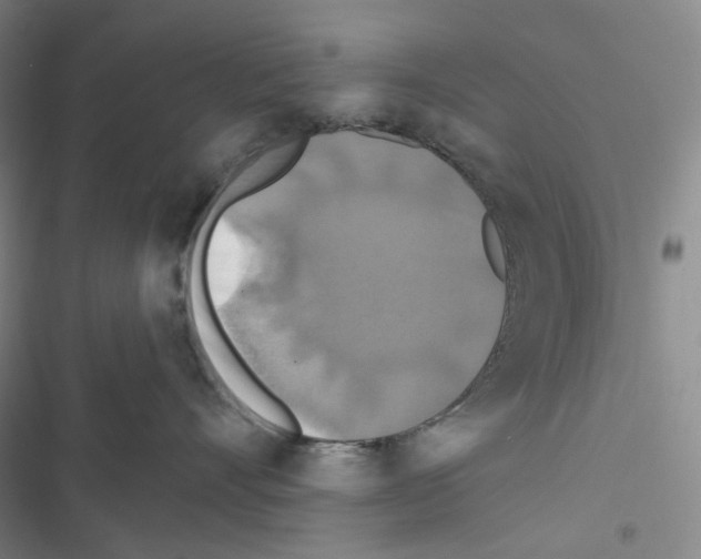 X0000116490528201001201406