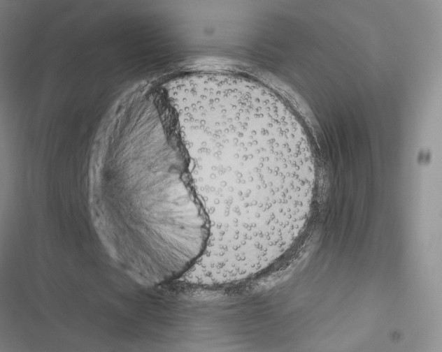 X0000116490529201001201405