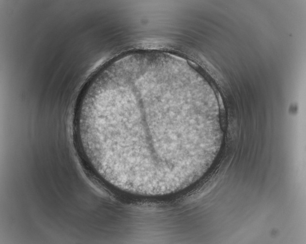 X0000116490530201001201405