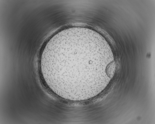 X0000116490533201001201405