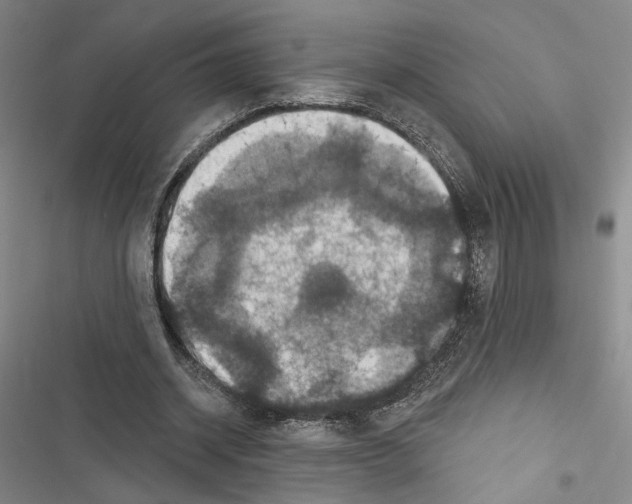 X0000116490534201001201405