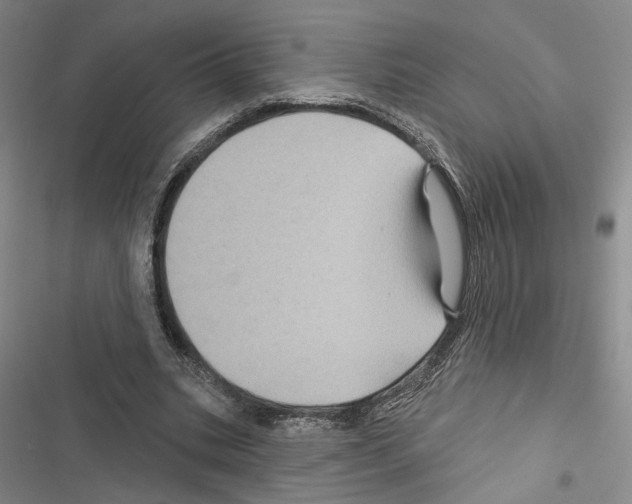 X0000116490535201001201405