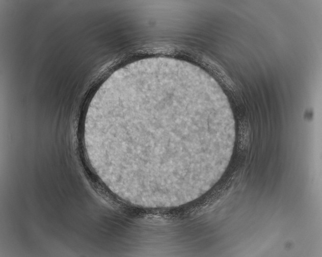 X0000116490538201001201405