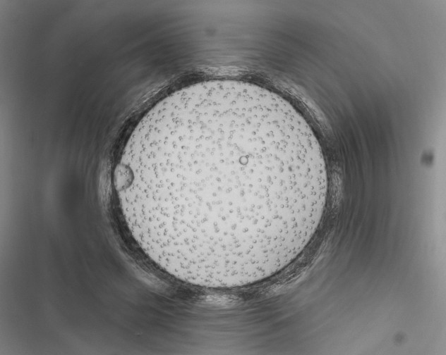 X0000116490541201001201405