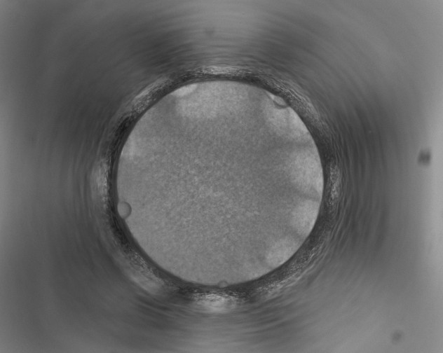 X0000116490542201001201405