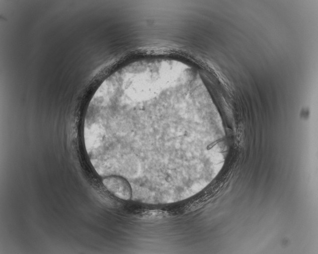 X0000116490543201001201405