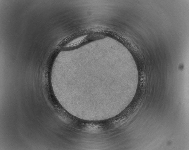 X0000116490547201001201405