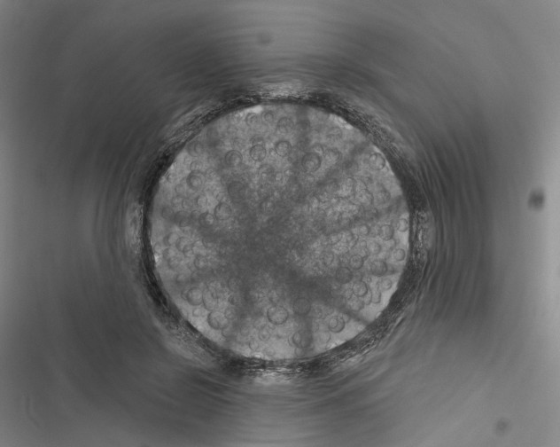 X0000116490550201001201405