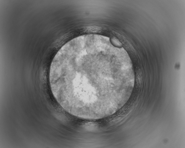 X0000116490551201001201405