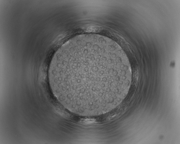 X0000116490554201001201405