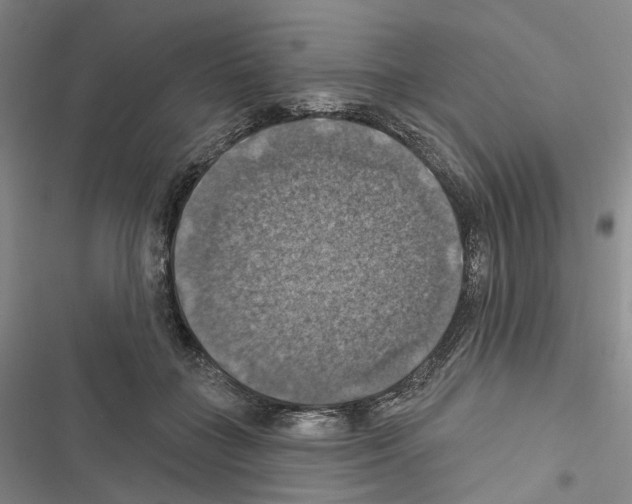 X0000116490555201001201405