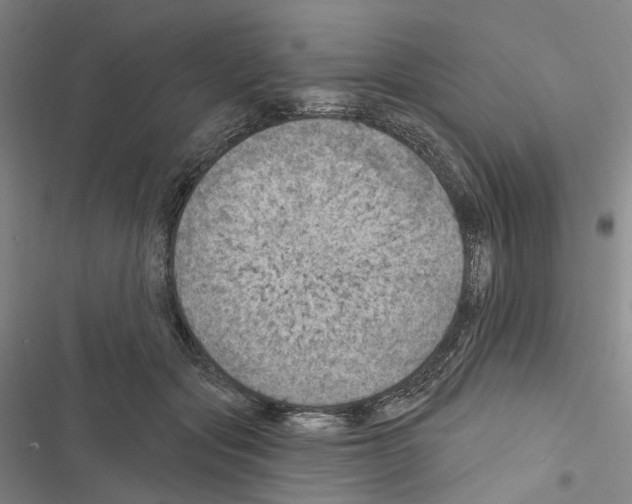 X0000116490557201001201405