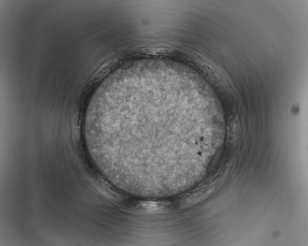 X0000116490558201001201405