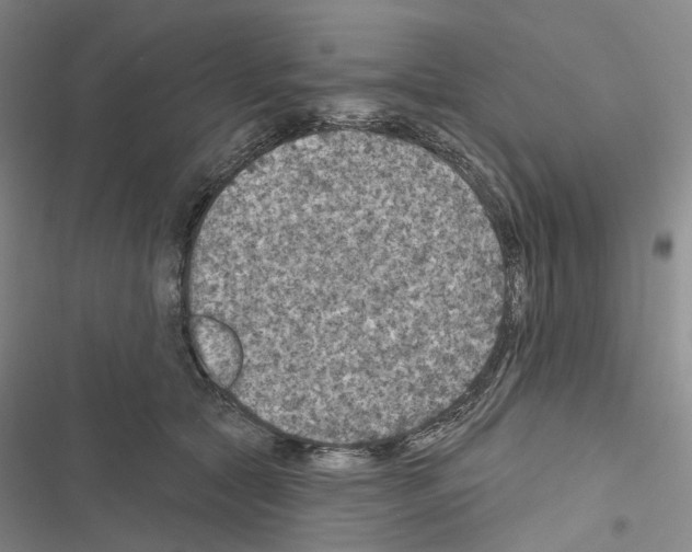 X0000116490561201001201405