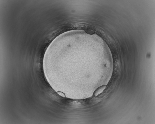 X0000116490566201001201405