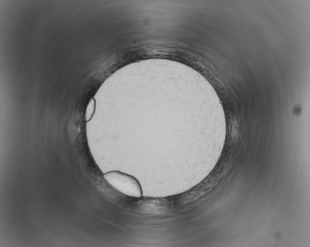 X0000116490567201001201406