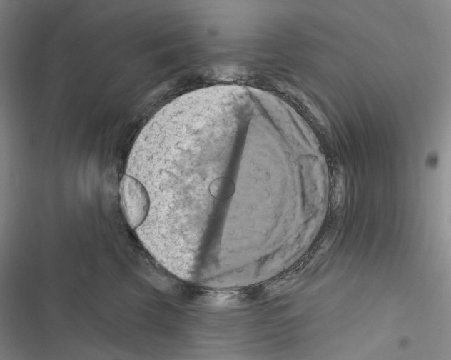 X0000116490569201001201406