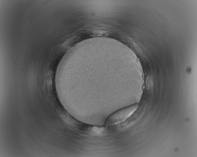 X0000116490570201001201406