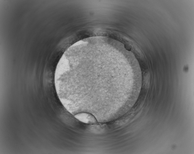 X0000116490571201001201406